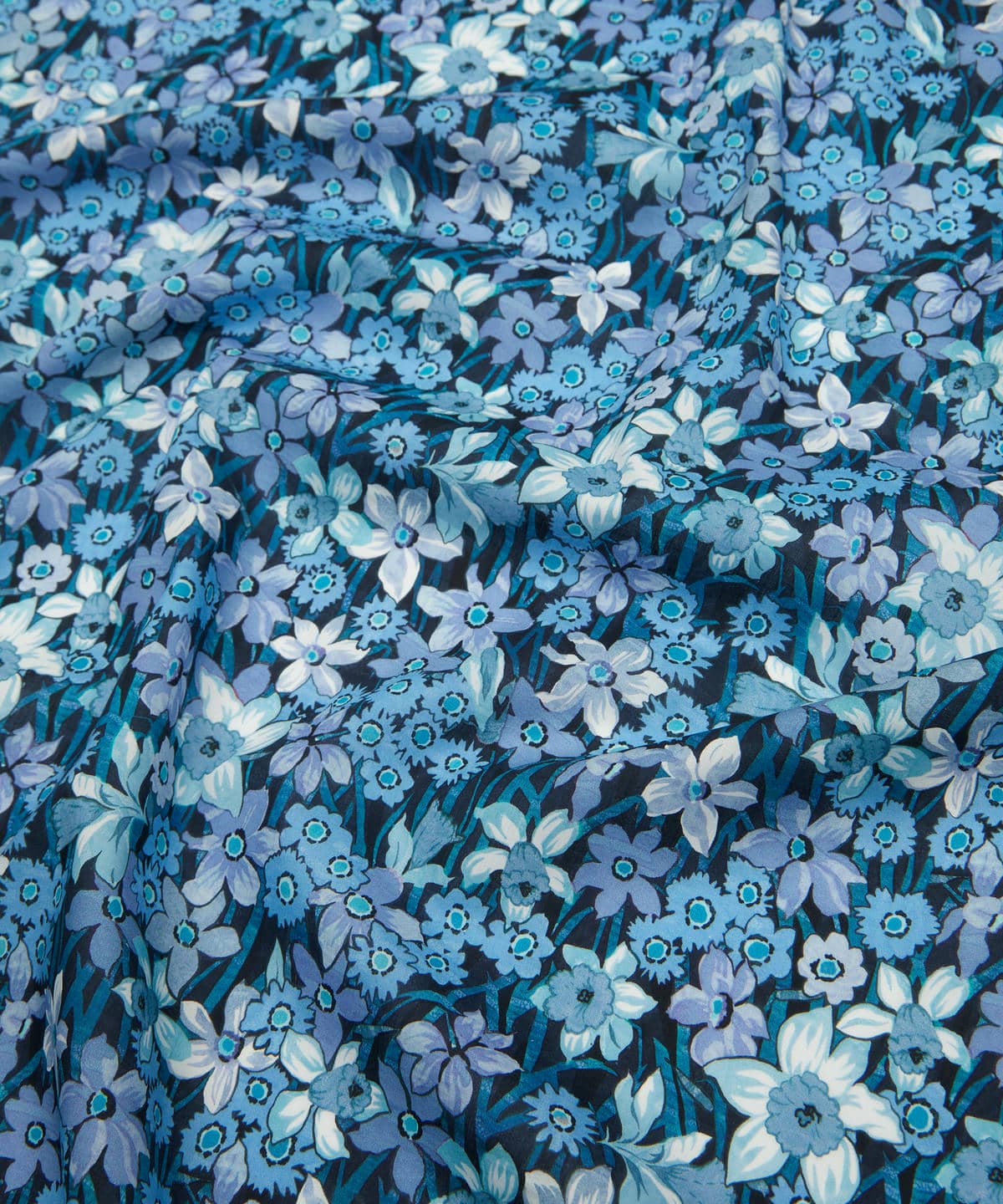 ダフォディル・デイズ タナローン