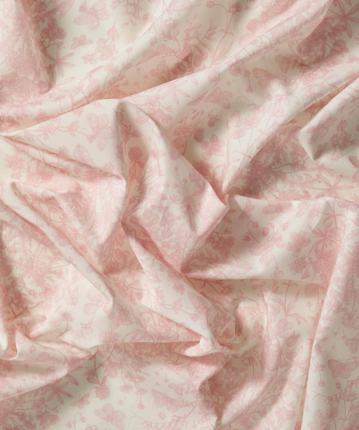 スプリング・メモリーズ タナローン