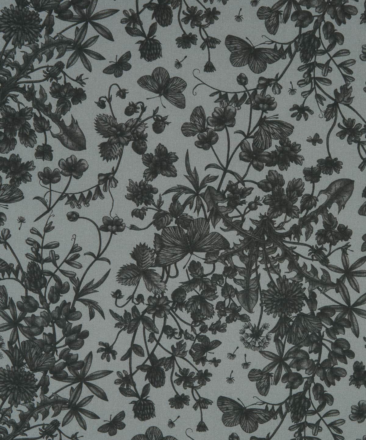 スプリング・メモリーズ タナローン