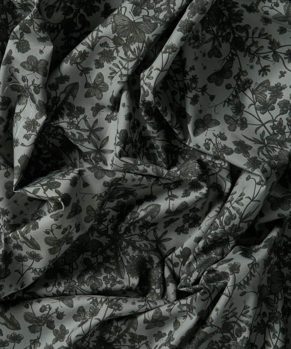 スプリング・メモリーズ タナローン