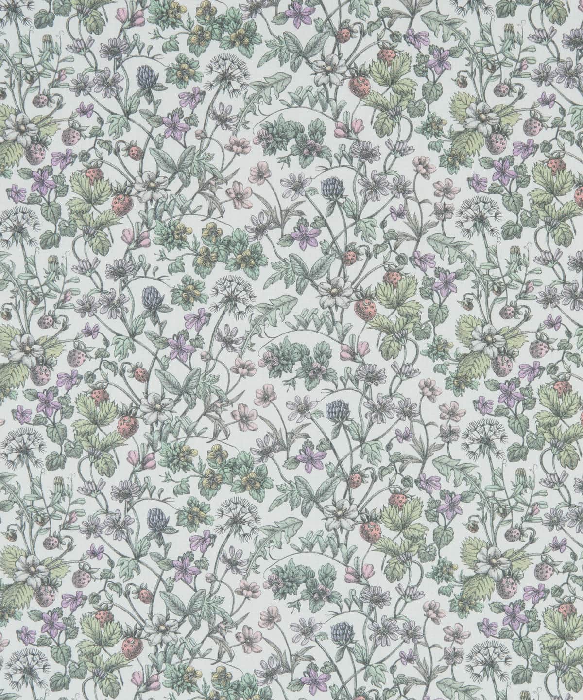 アンティーク・ガーデン タナローン