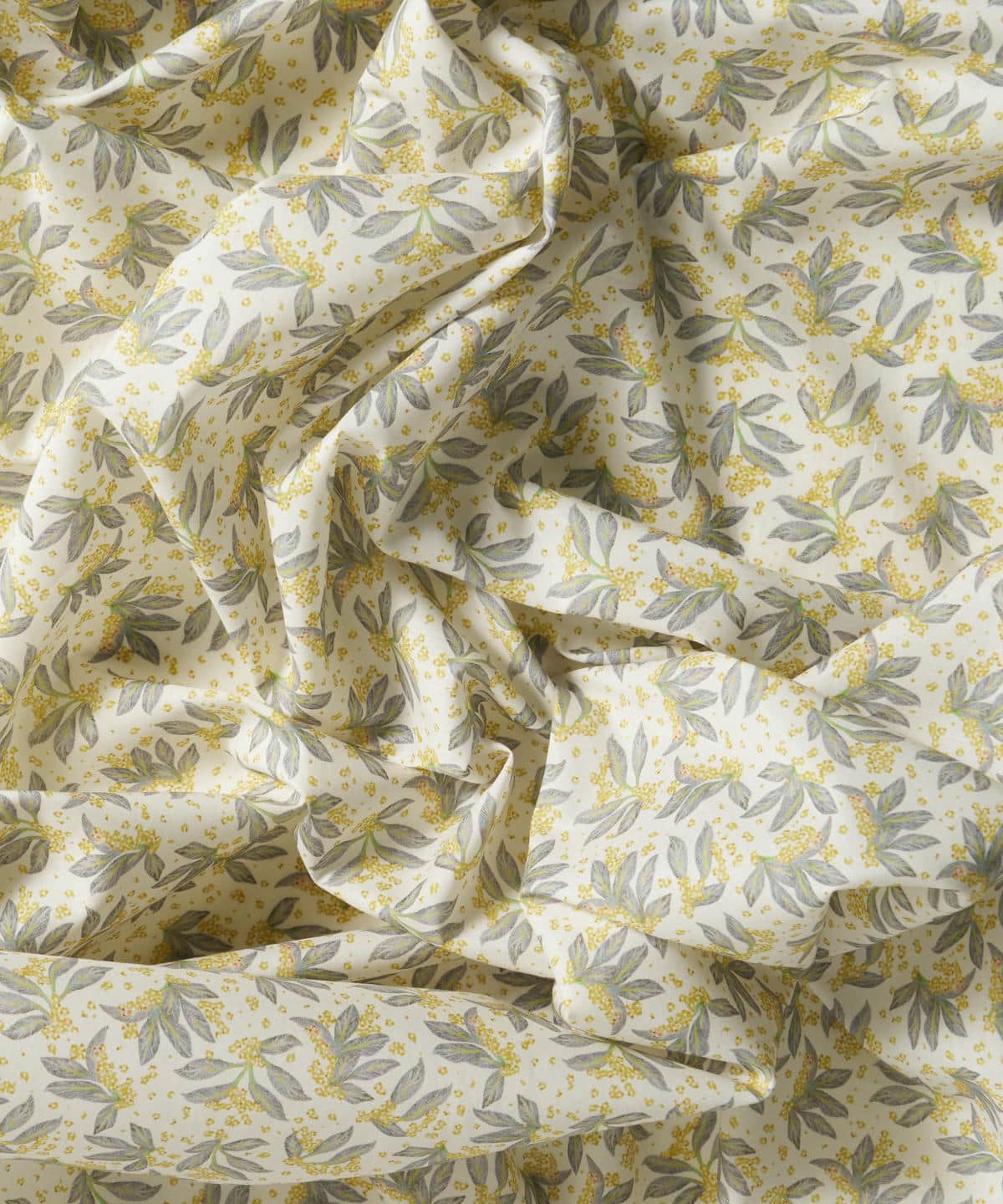 ポーセリン・キャノピー タナローン