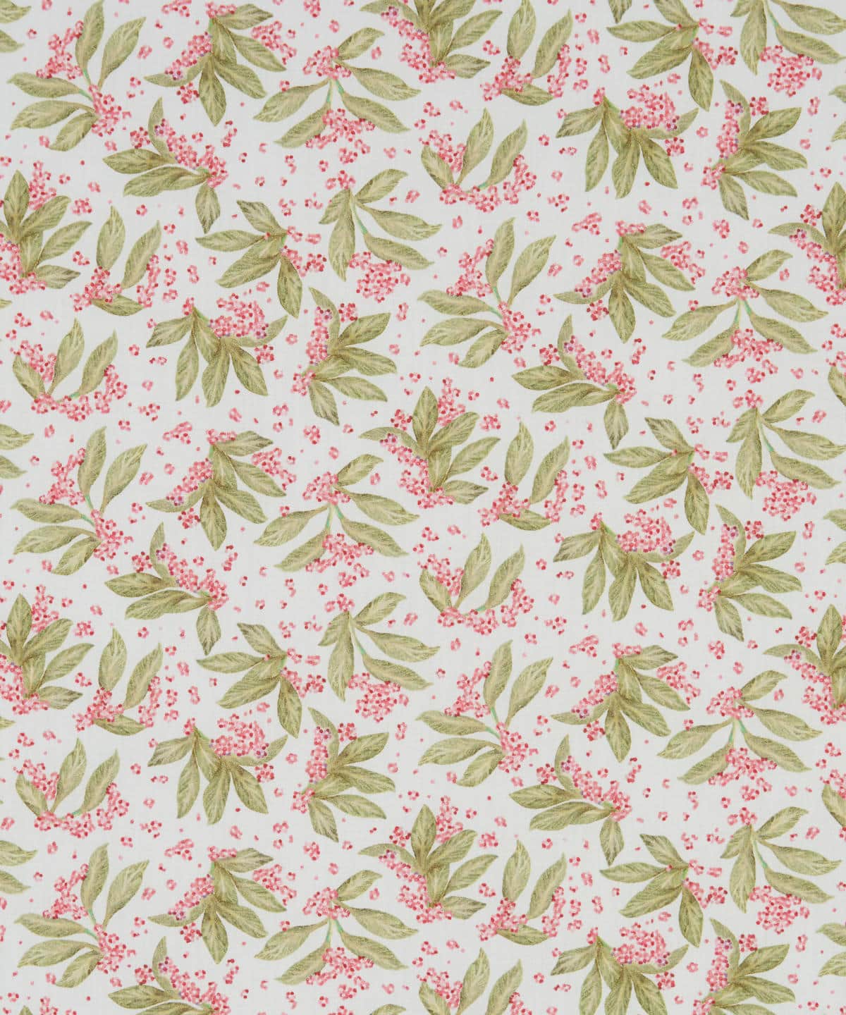 ポーセリン・キャノピー タナローン