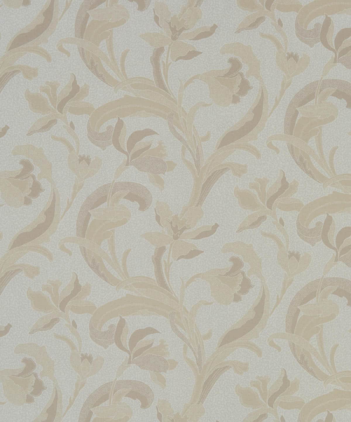 セラドン タナローン