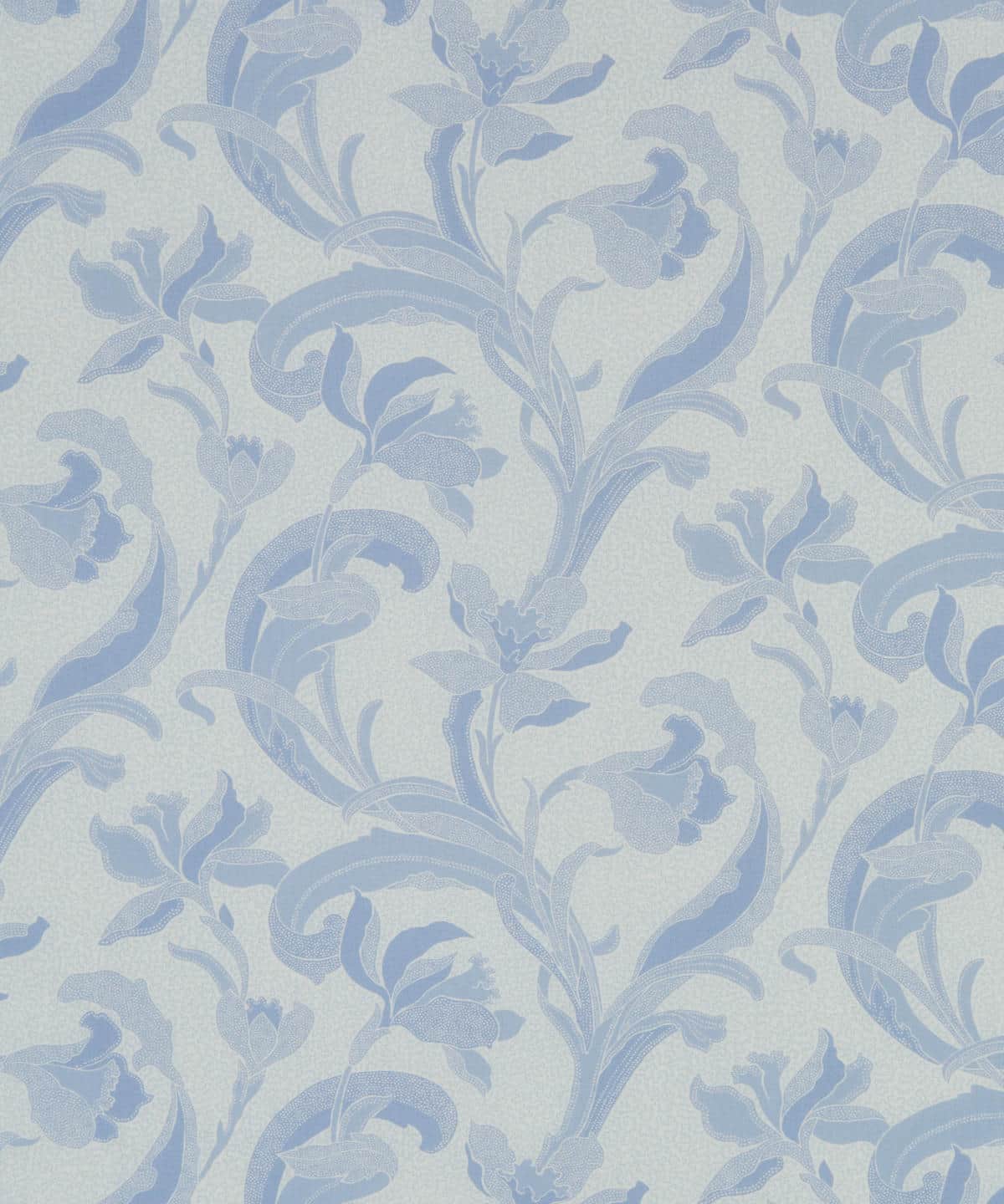 セラドン タナローン