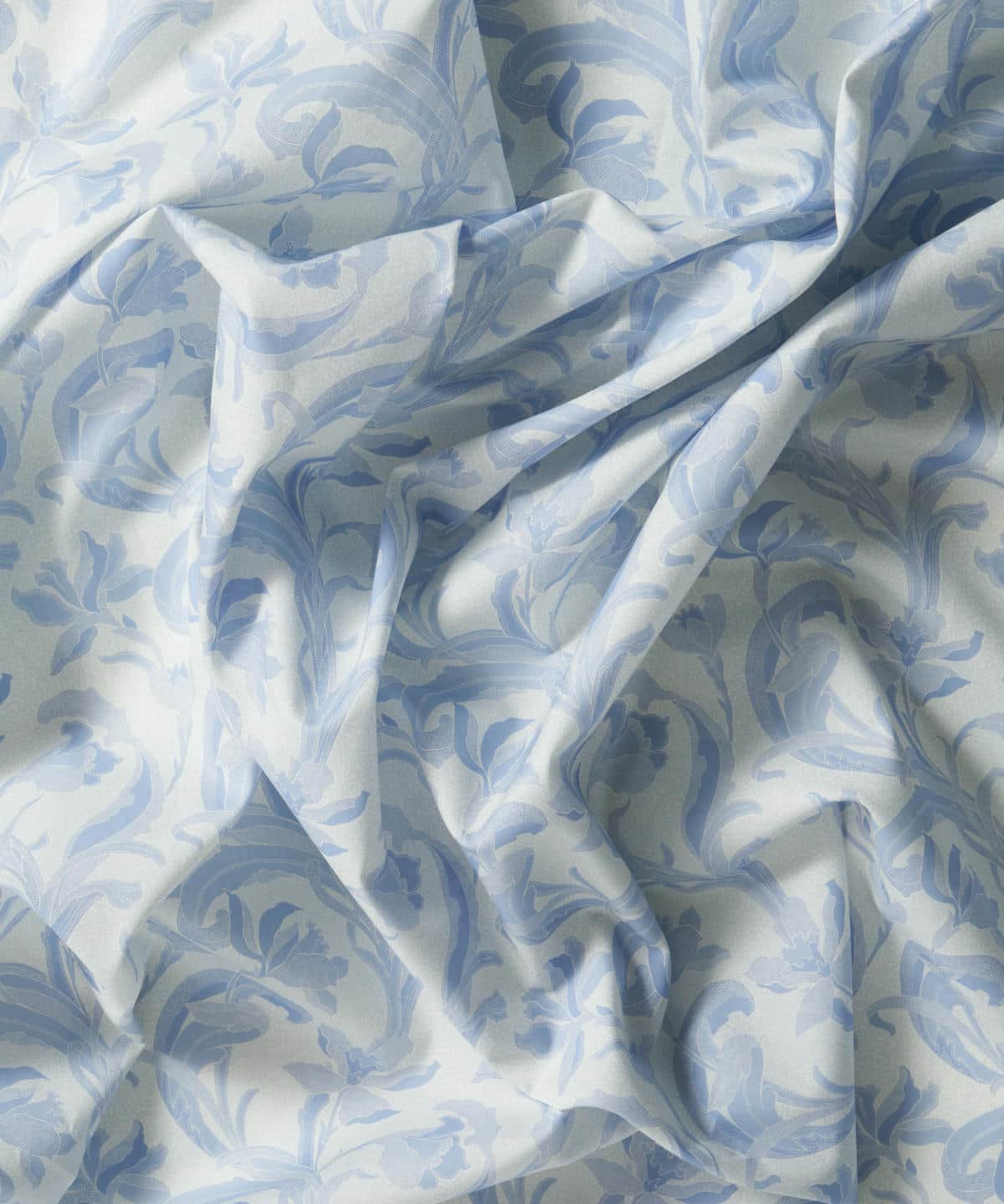 セラドン タナローン