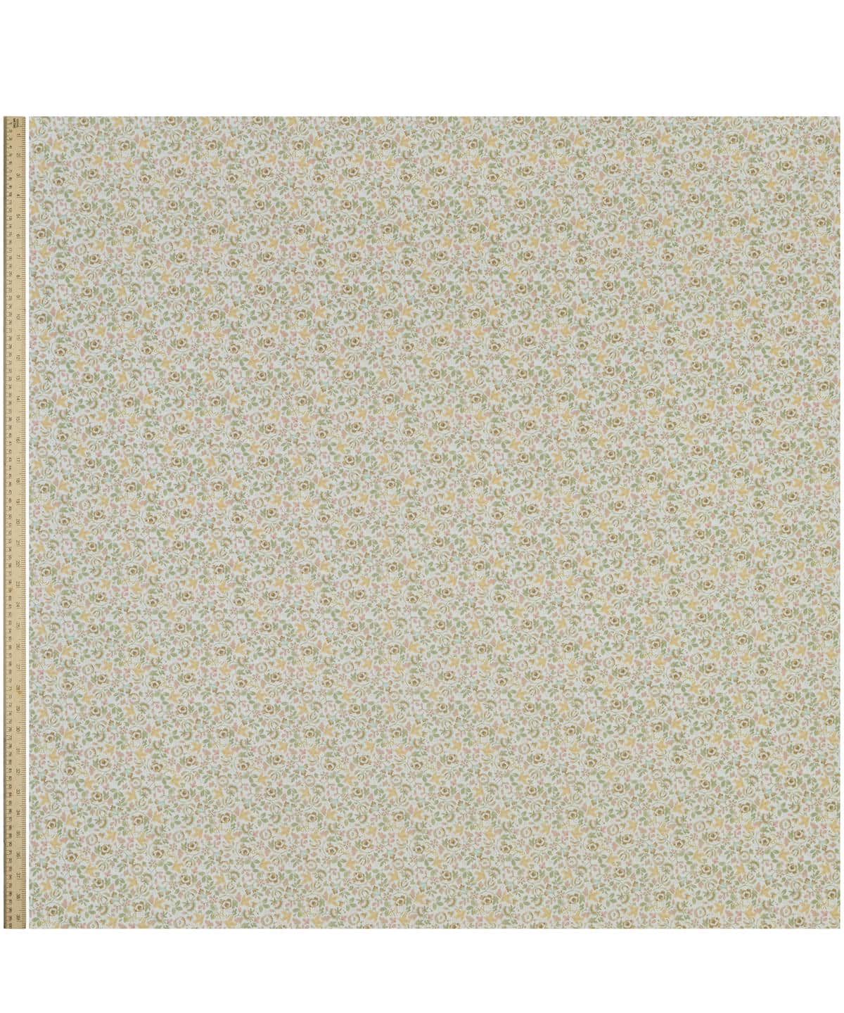 エマ・レイ タナローン