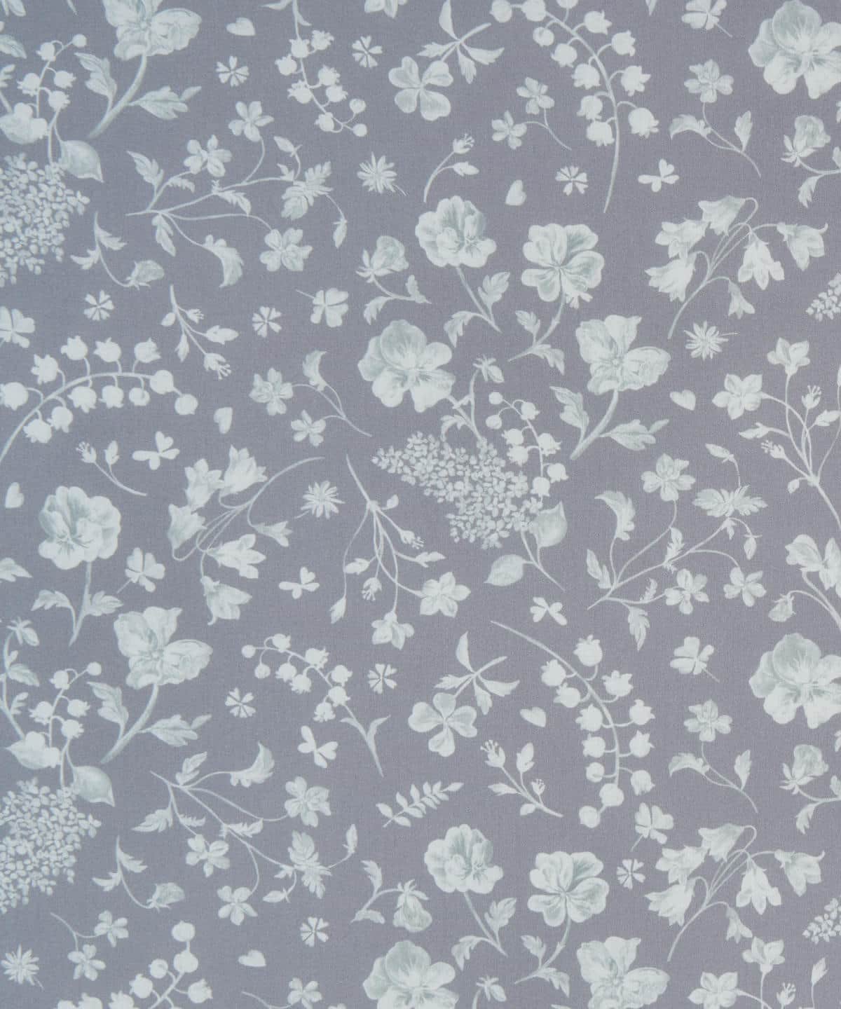 モーニングサイド・パーク タナローン