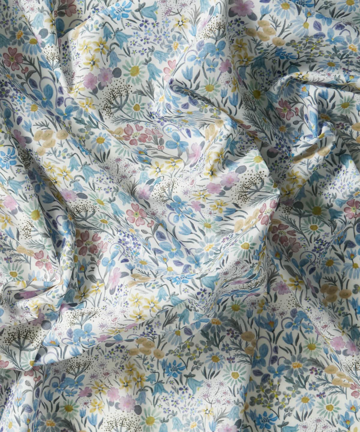 ハル・ブルーム タナローン