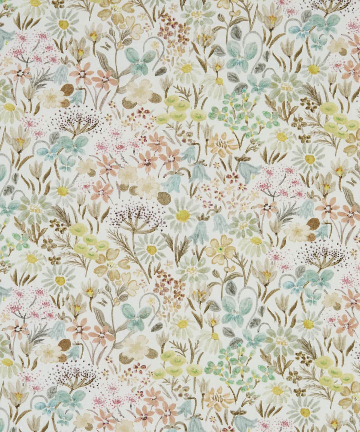 ハル・ブルーム タナローン