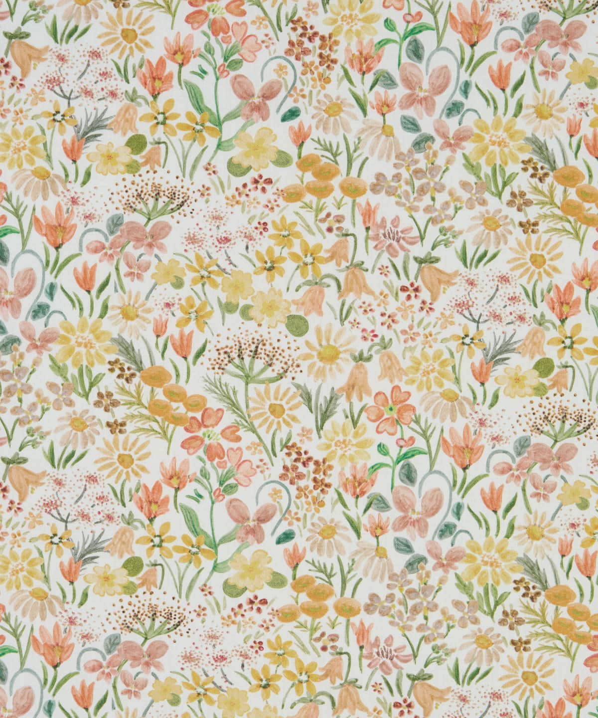 ハル・ブルーム タナローン