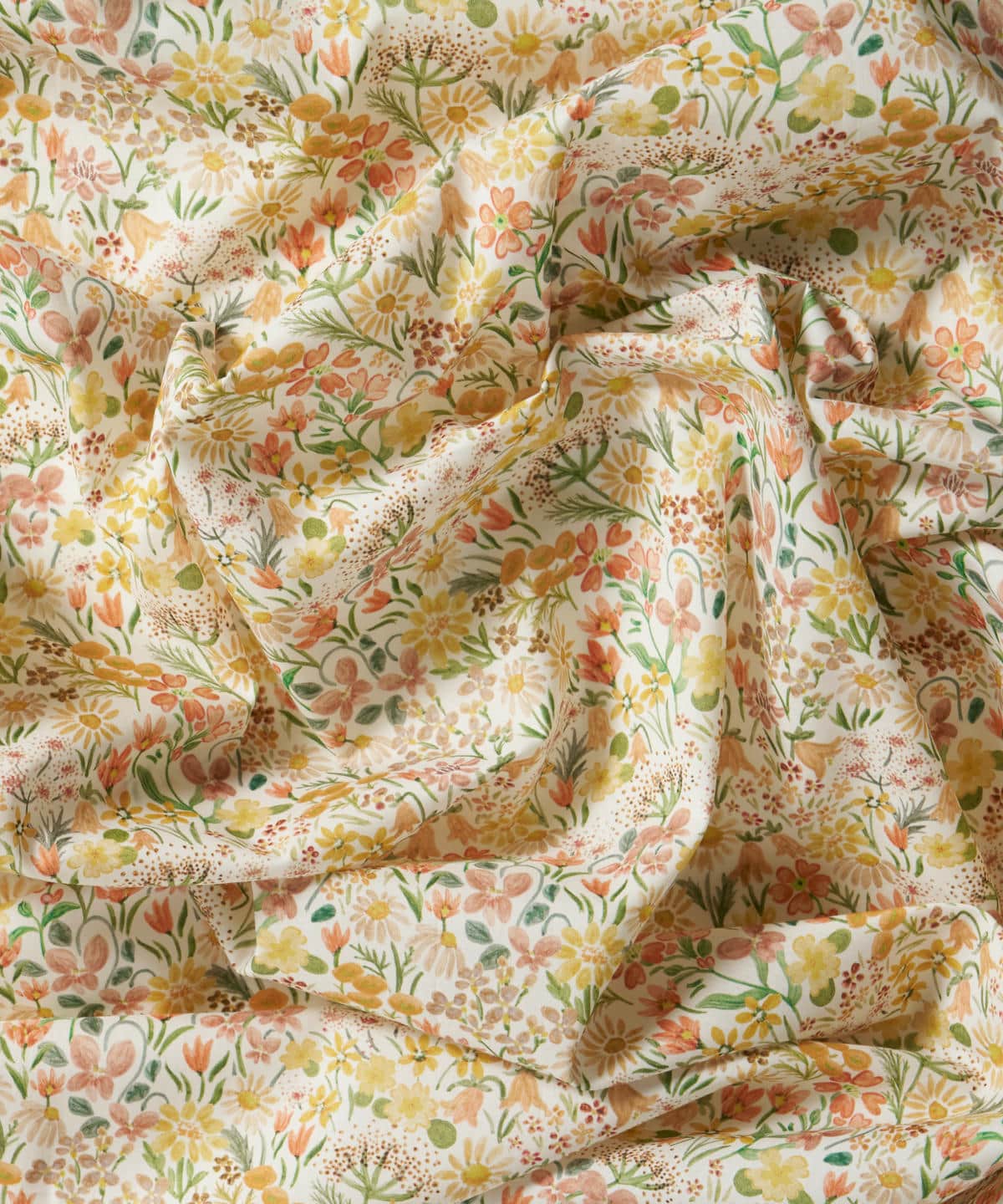 ハル・ブルーム タナローン