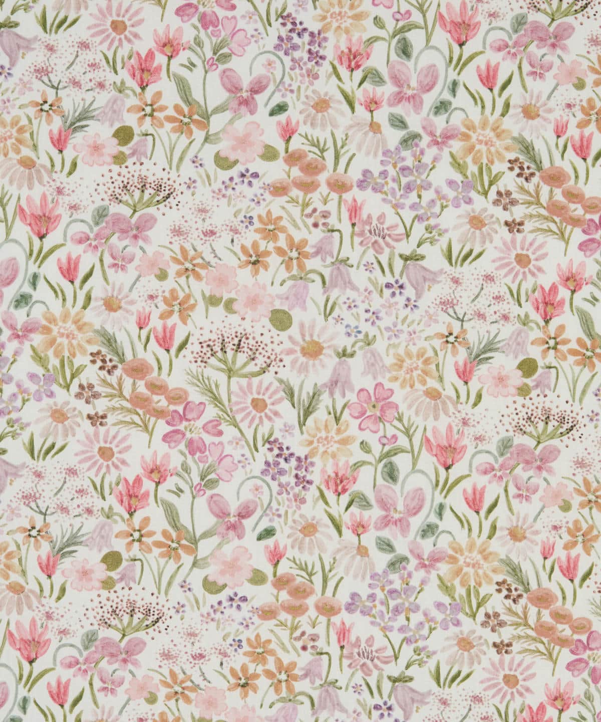 ハル・ブルーム タナローン