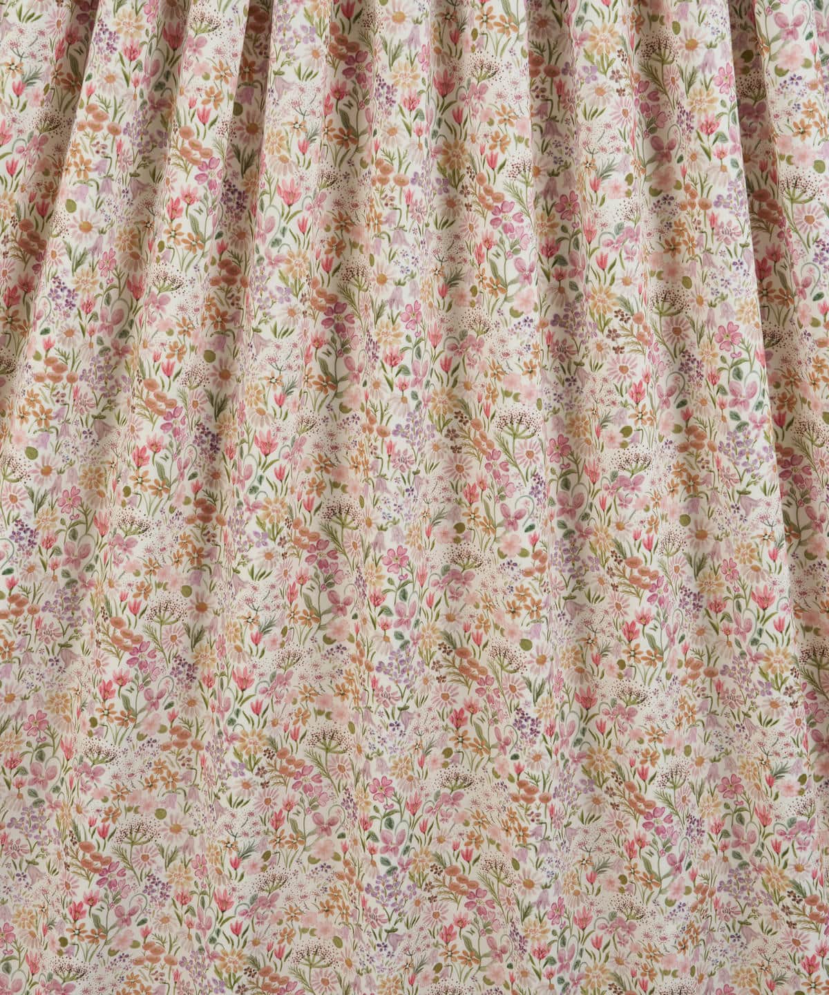 ハル・ブルーム タナローン