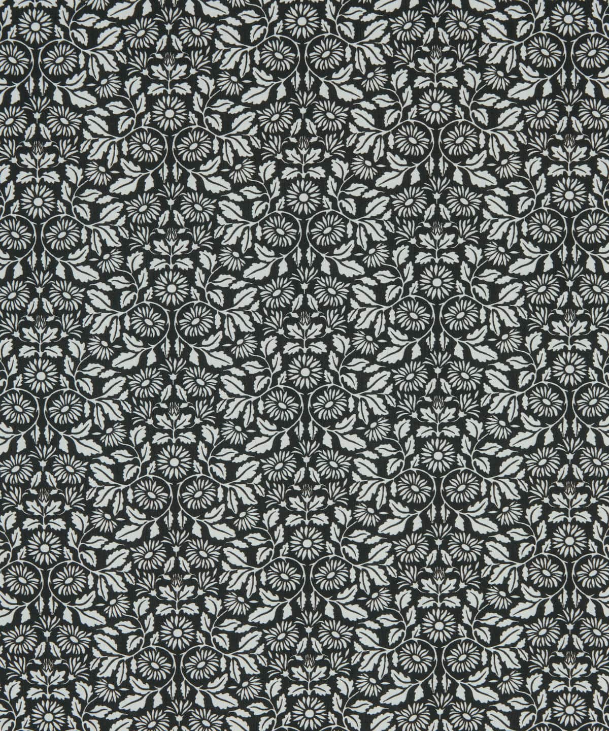 クレイ・デイジー タナローン