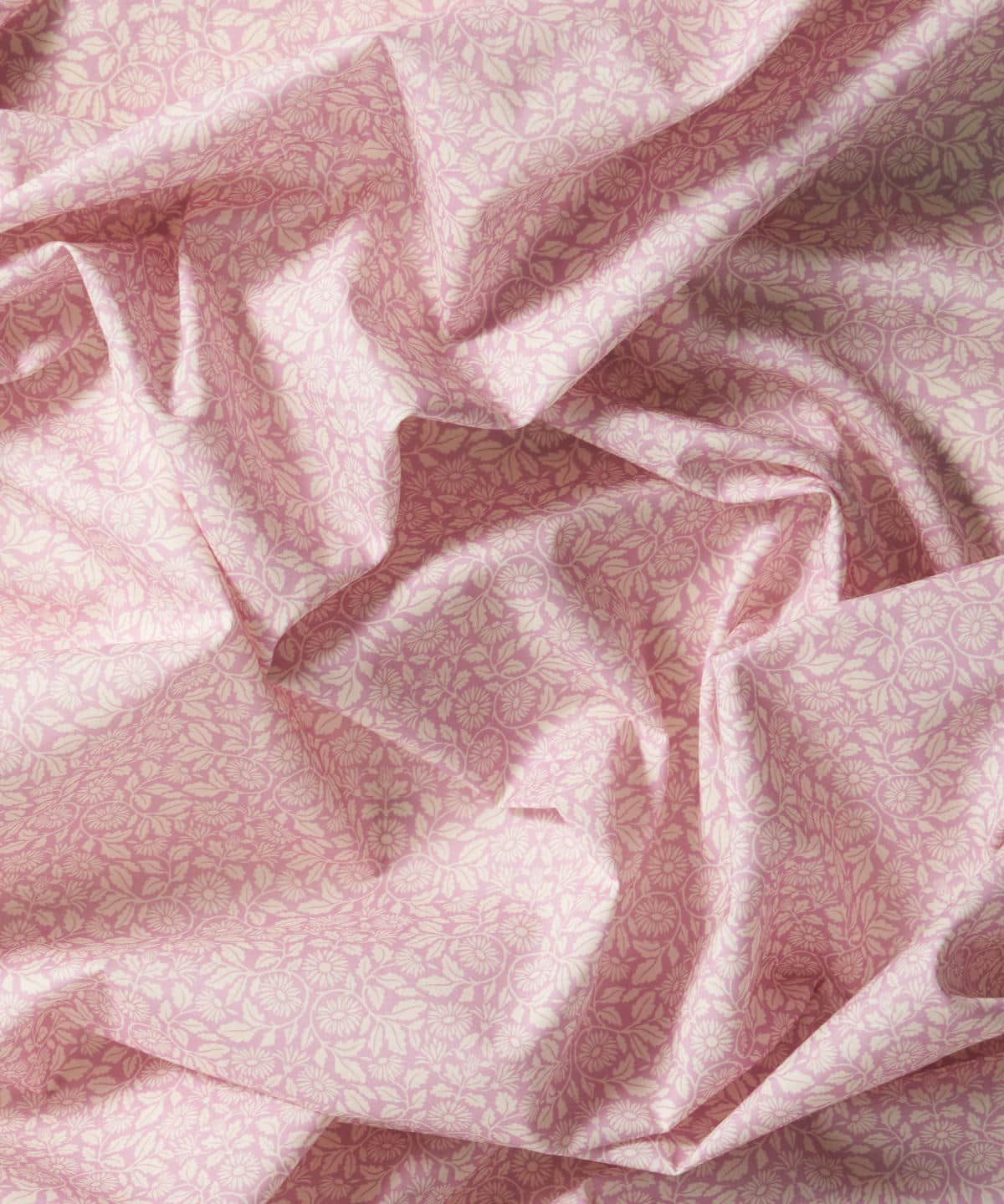 クレイ・デイジー タナローン