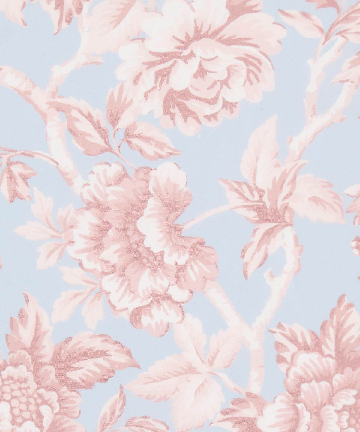 リージェンシー・トレイル タナローン