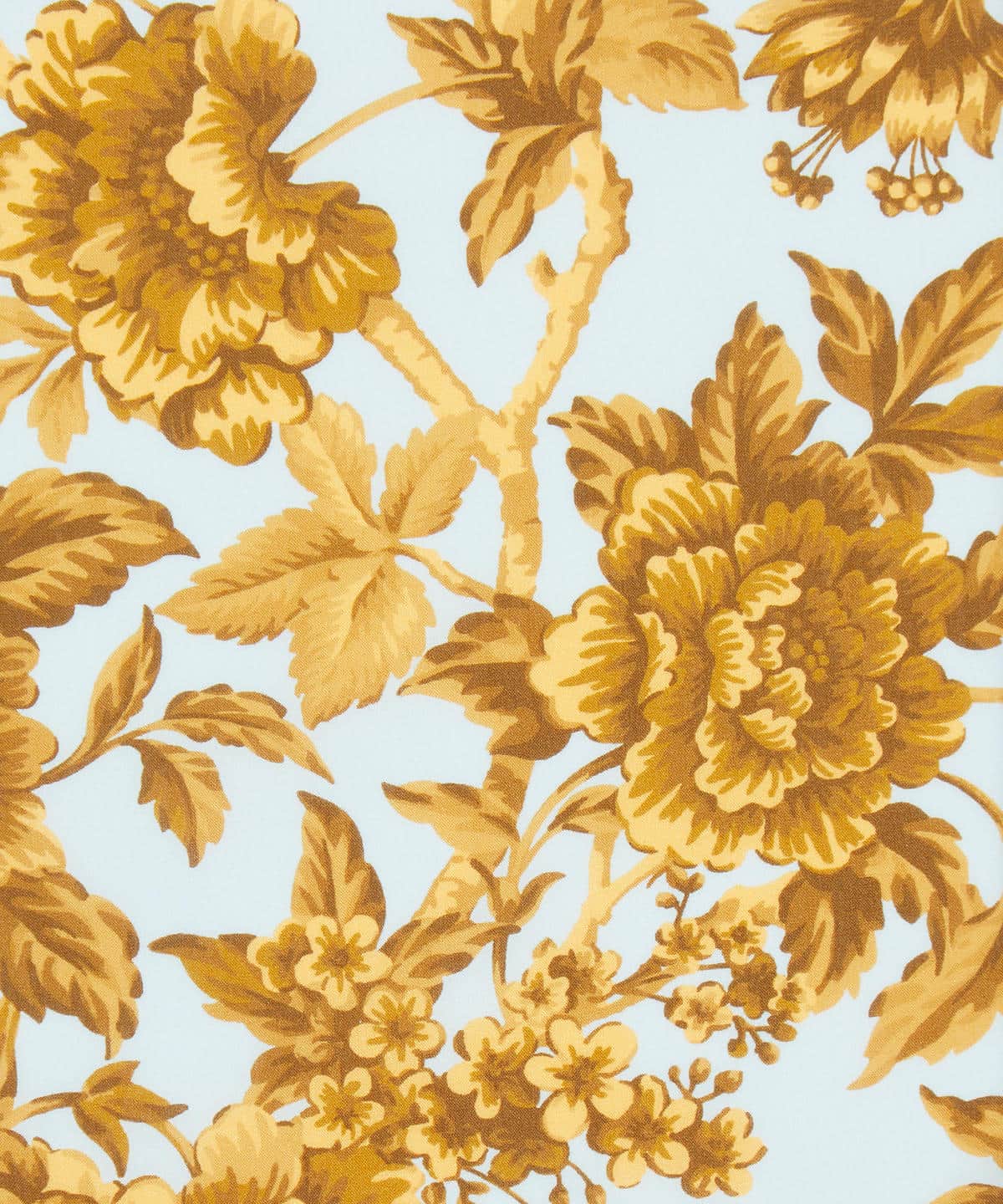 リージェンシー・トレイル タナローン