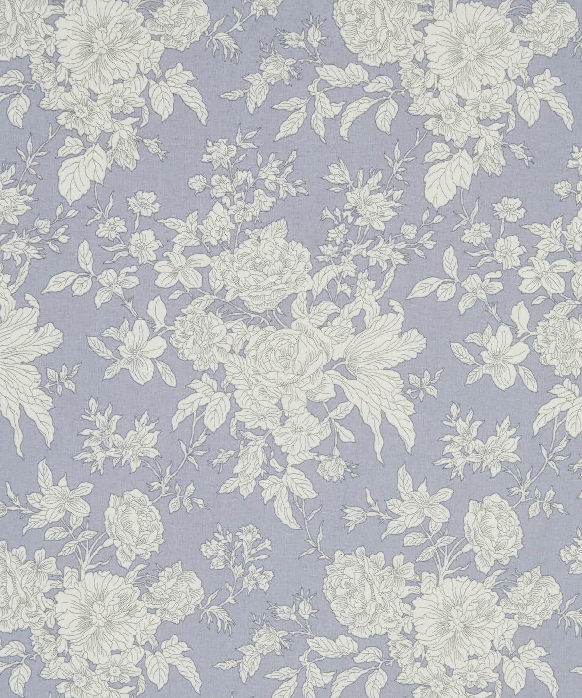 コーラ イズリントン・ブロード