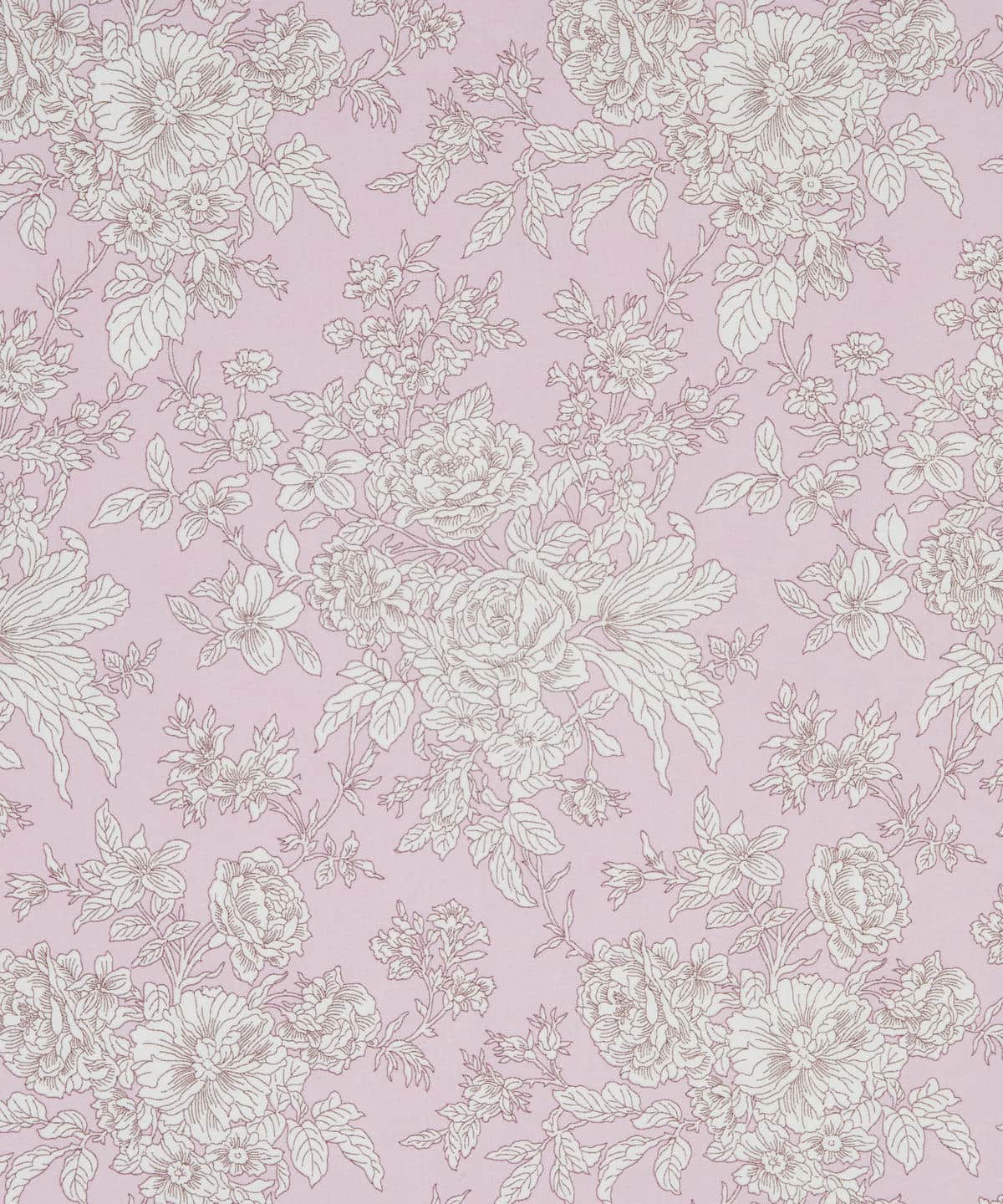 コーラ イズリントン・ブロード