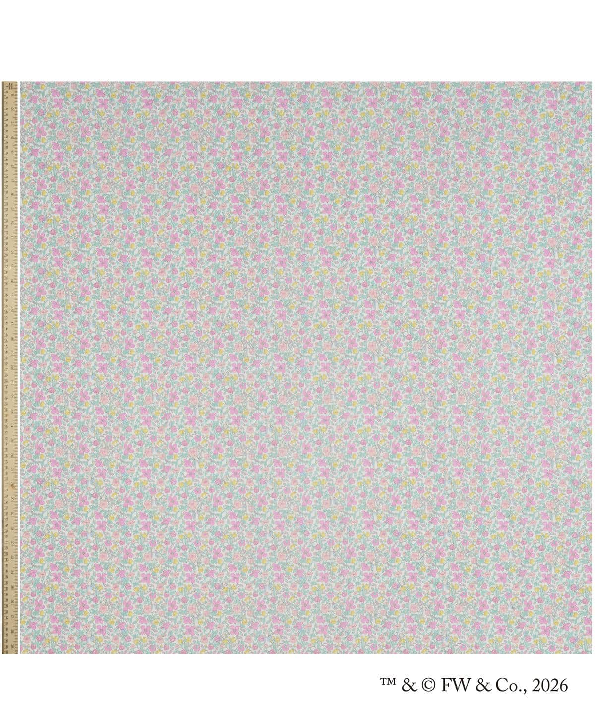 ピーター・メドゥ タナローン