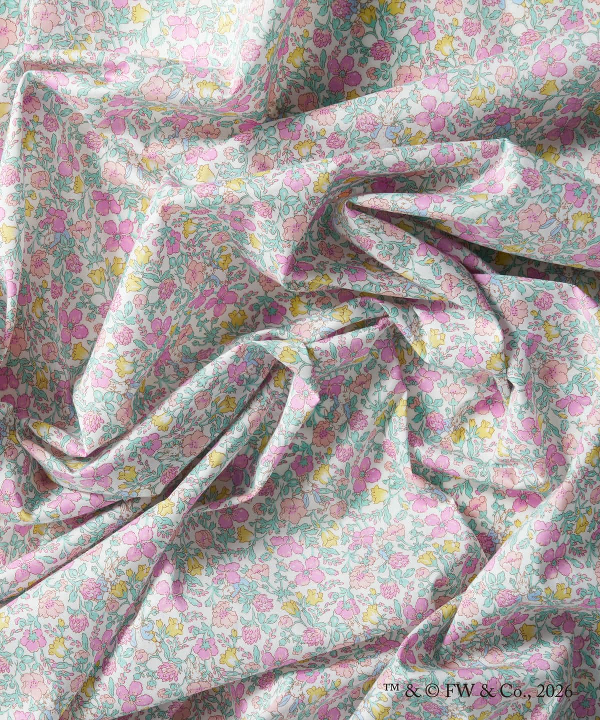 ピーター・メドゥ タナローン