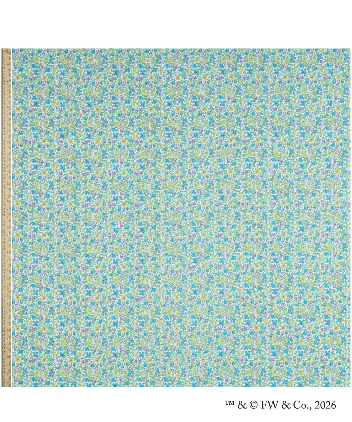 ピーター・メドゥ タナローン