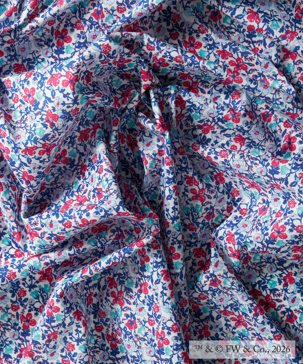 ピーター・メドゥ タナローン