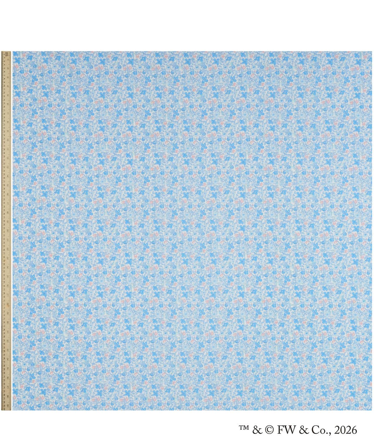 ピーター・メドゥ タナローン