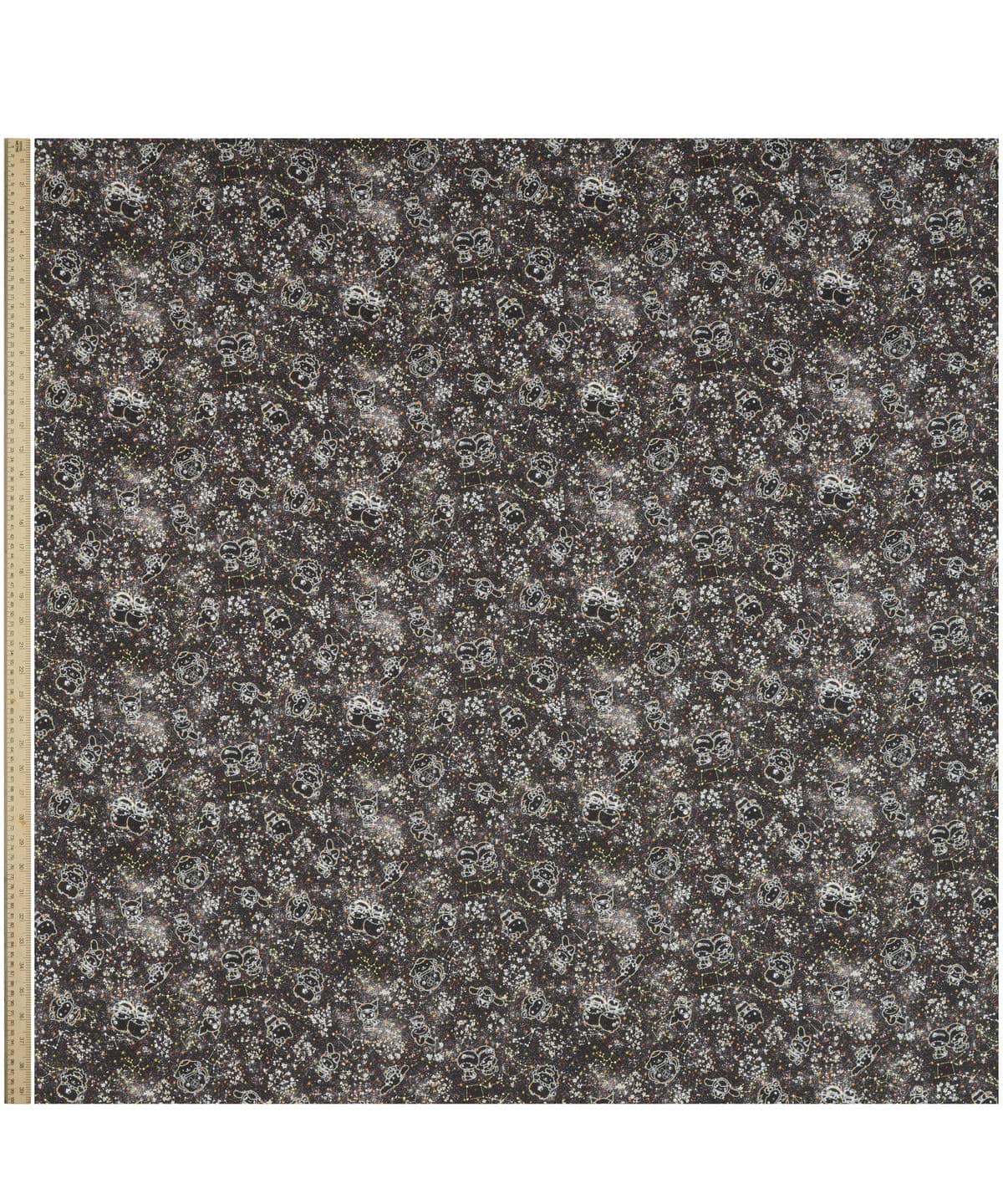 コンステレーション・スカイ タナローン