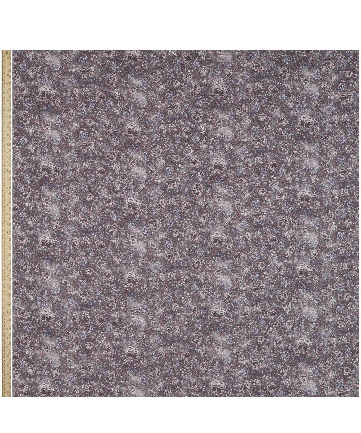 コンステレーション・スカイ タナローン